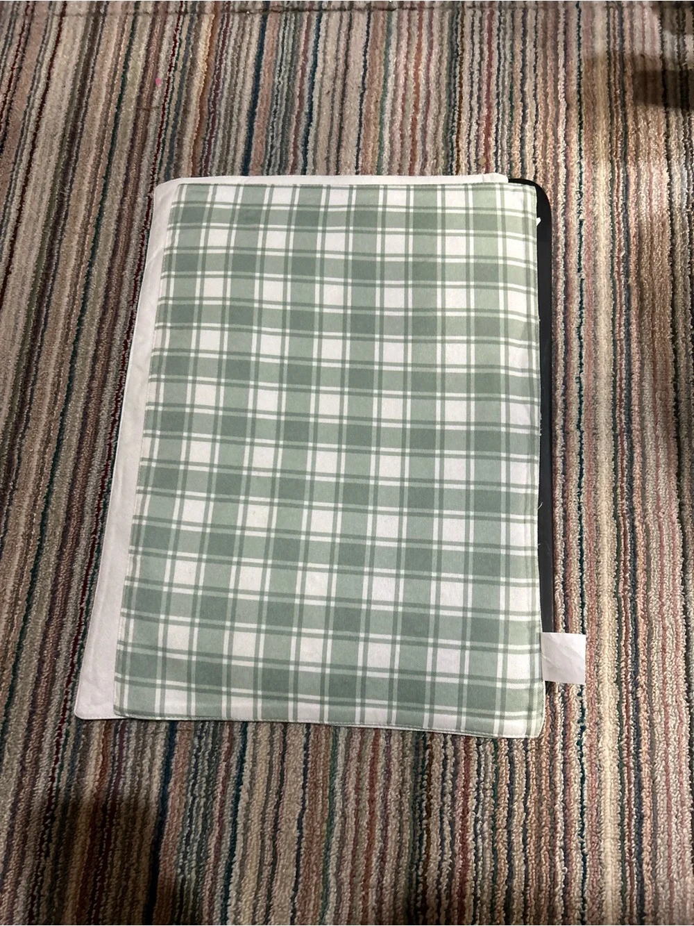 White Pumpkin Accent Placemat with Eucalyptus Print Set of 2
